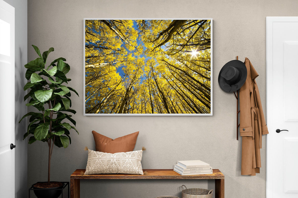 Pixalot ® Aspen Grove Sunburst