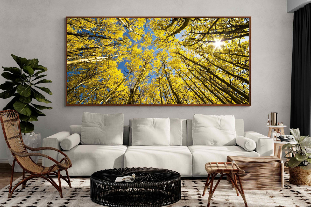 Pixalot ® Aspen Grove Sunburst