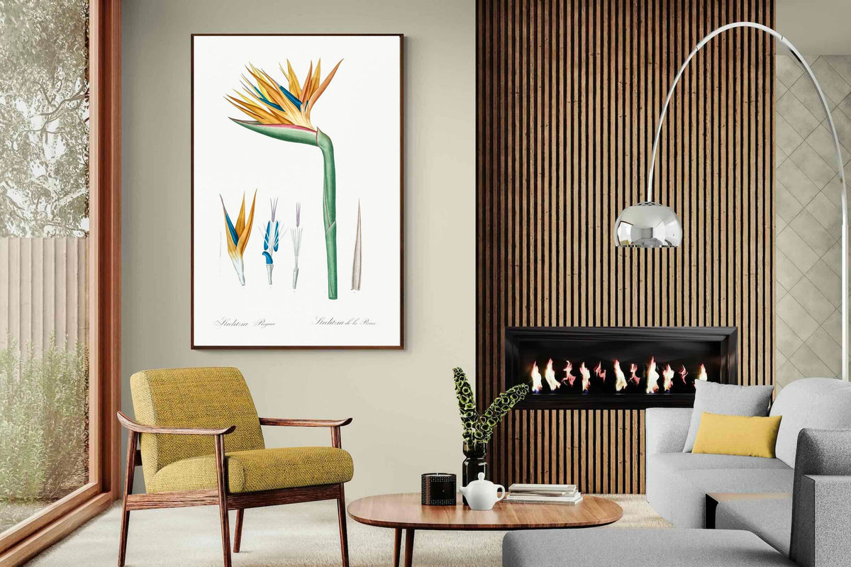 Pixalot ® Bird of Paradise Vintage Illustration