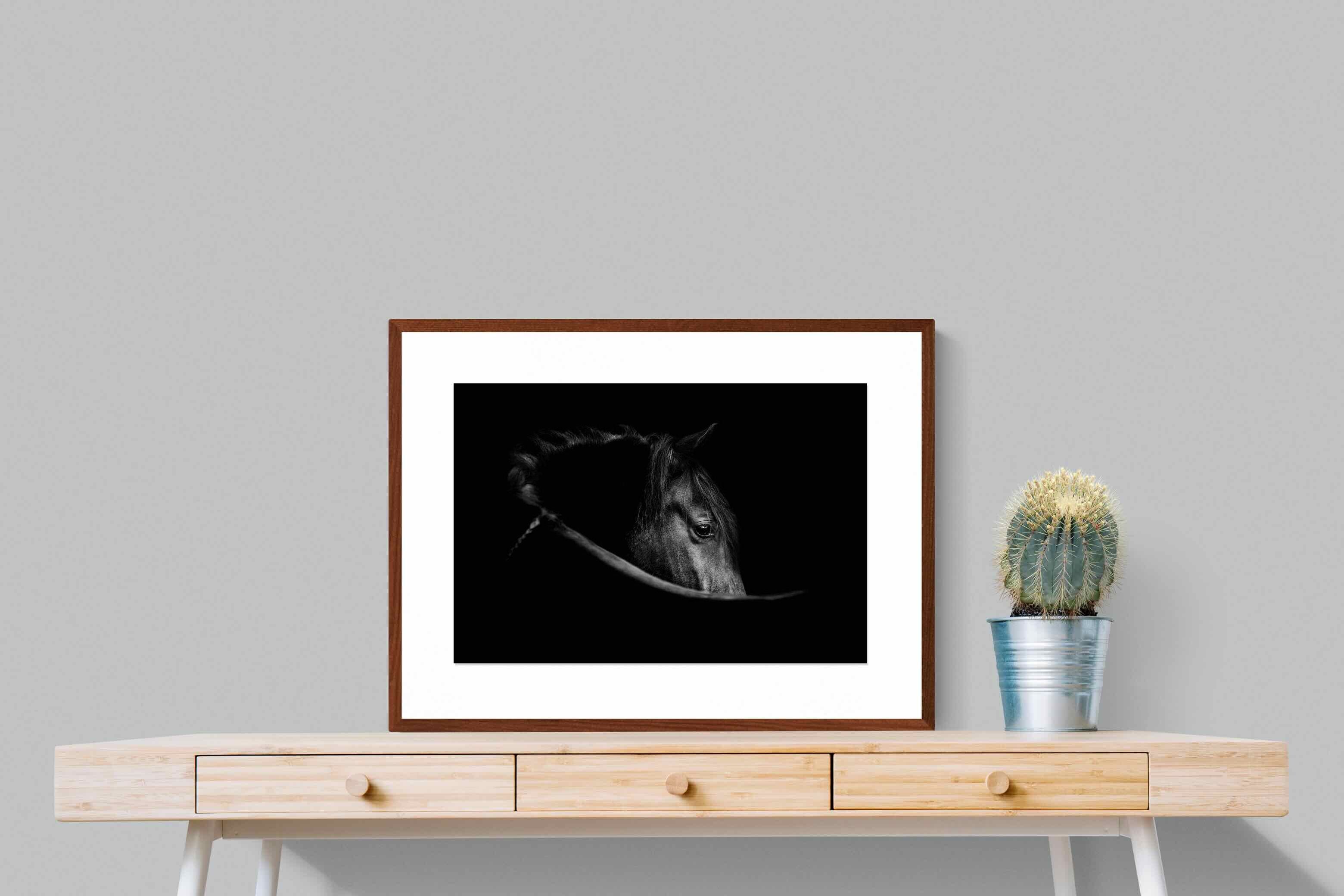 Pixalot ® Black Beauty