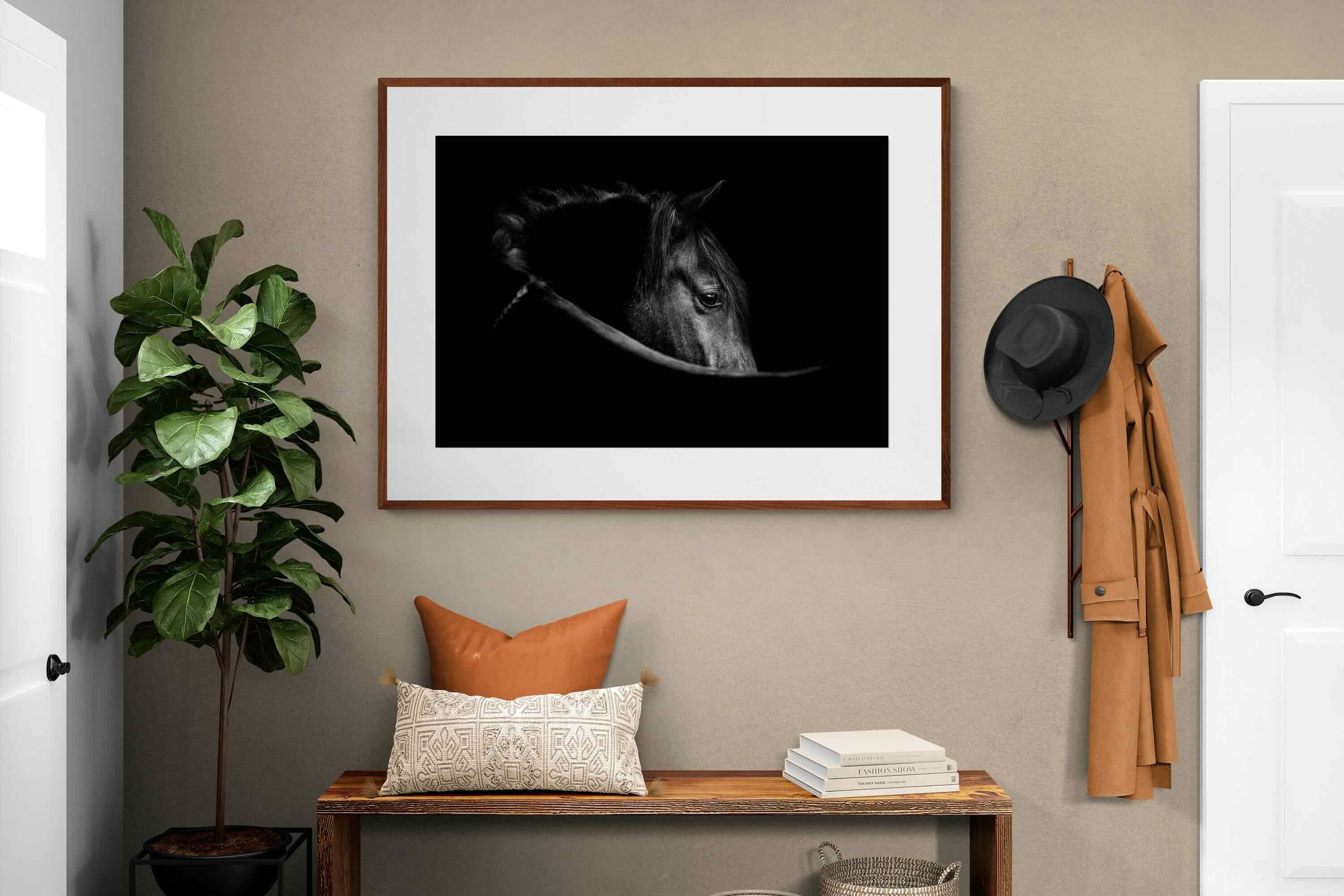 Pixalot ® Black Beauty