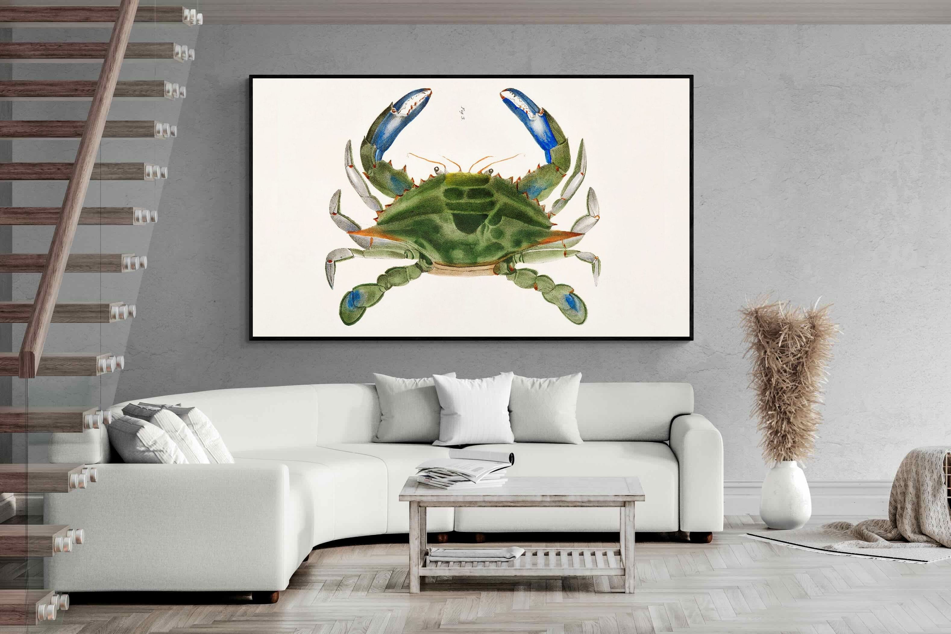 Pixalot ® Blue Crab Illustration