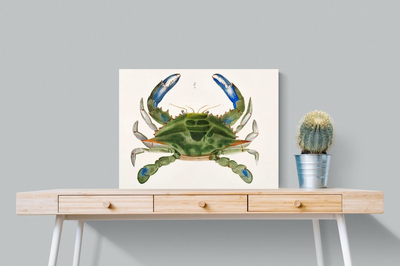 Pixalot ® Blue Crab Illustration