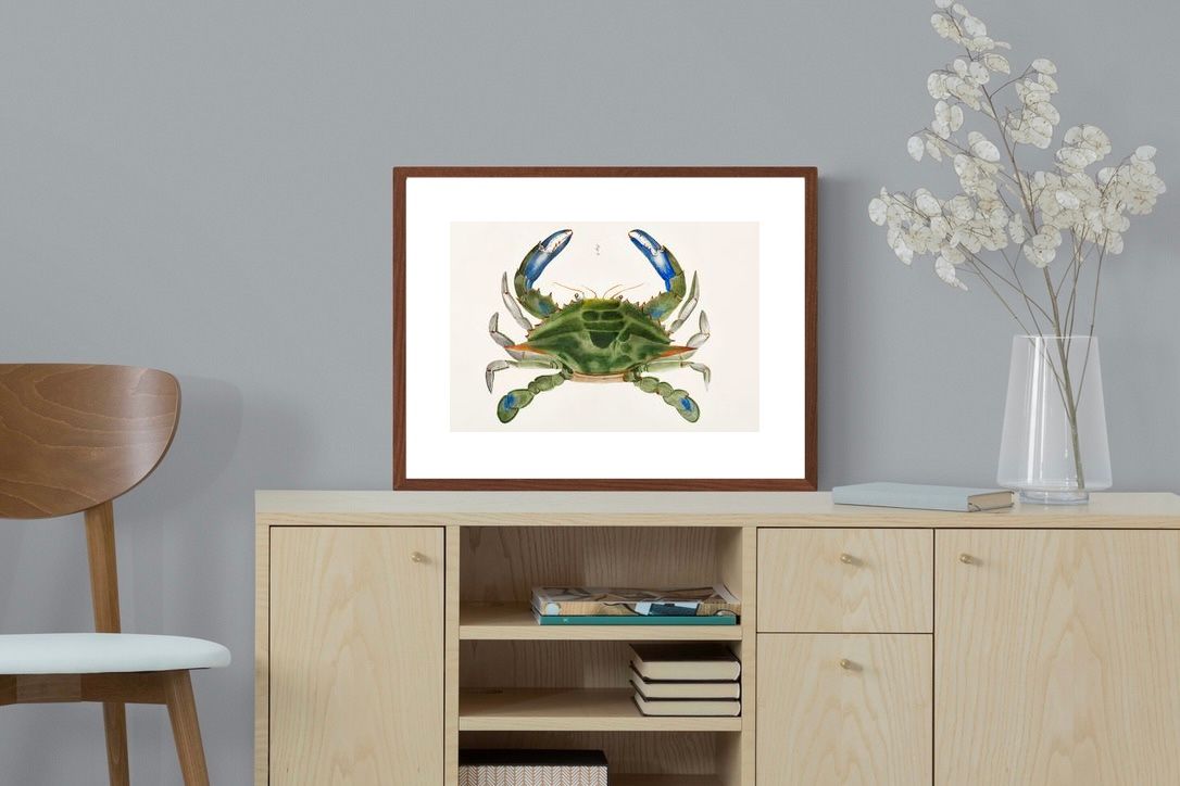 Pixalot ® Blue Crab Illustration