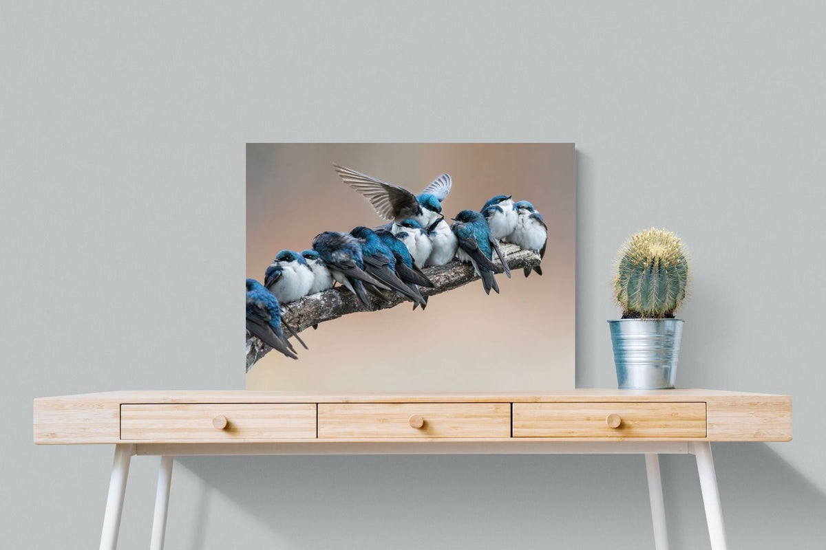 Pixalot ® Blue Gathering