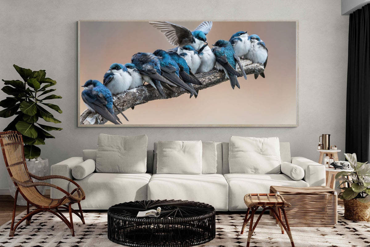 Pixalot ® Blue Gathering