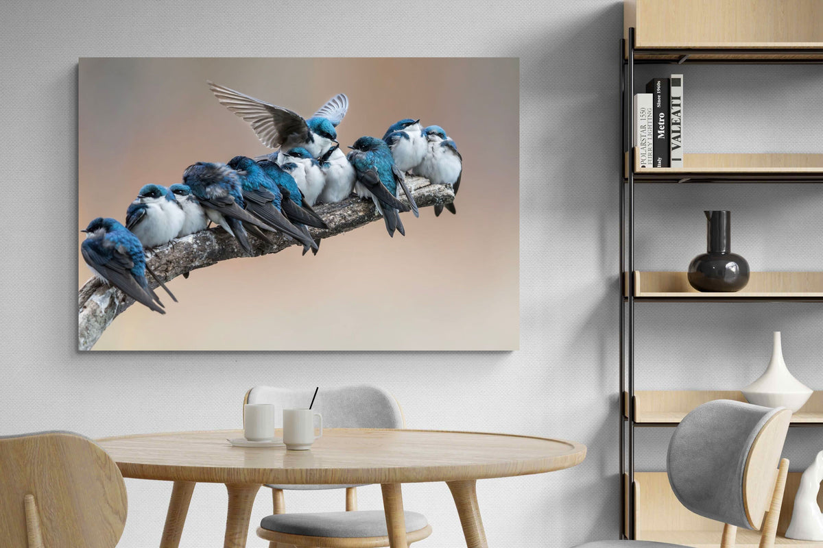 Pixalot ® Blue Gathering