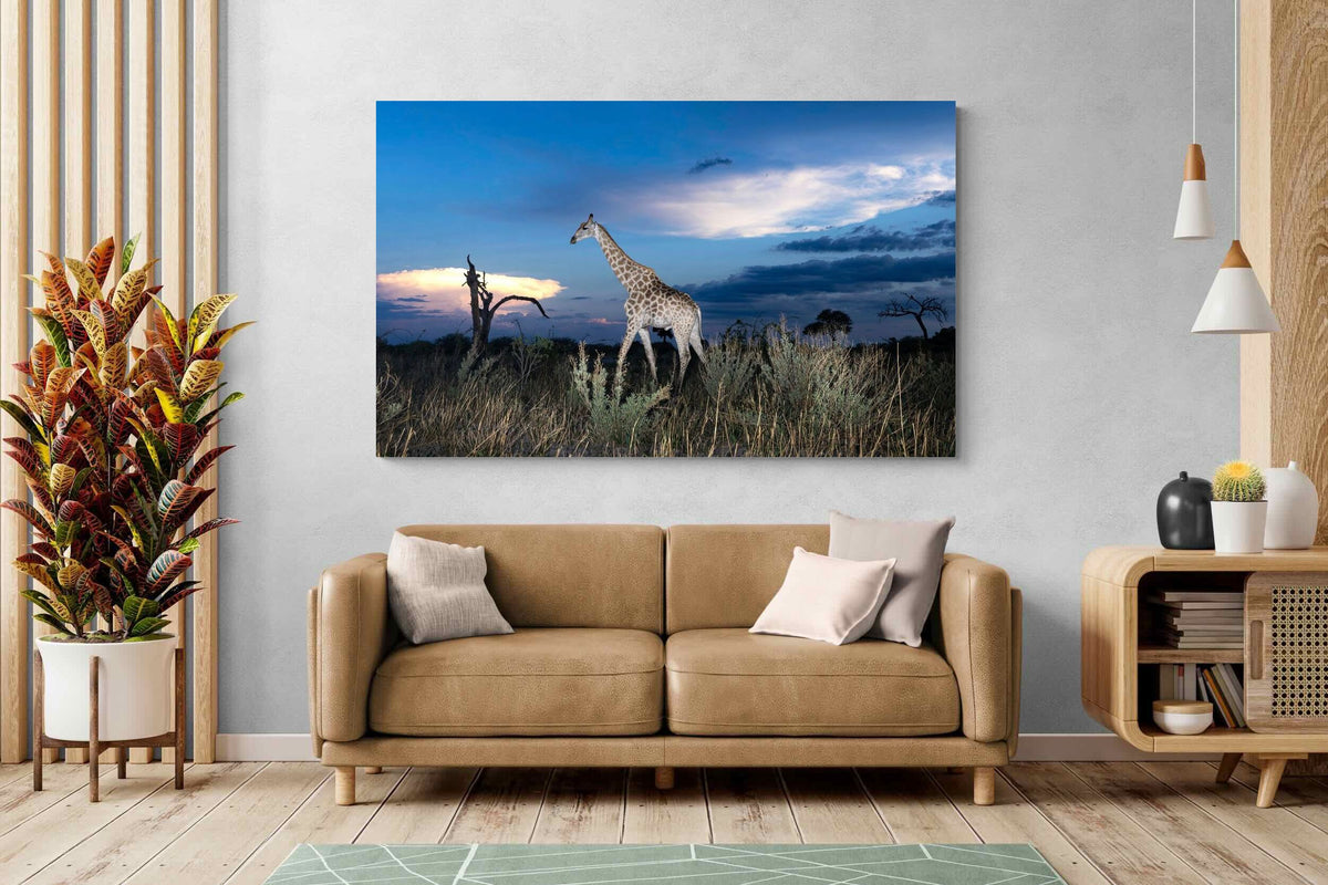 Pixalot ® Blue Hour Giraffe