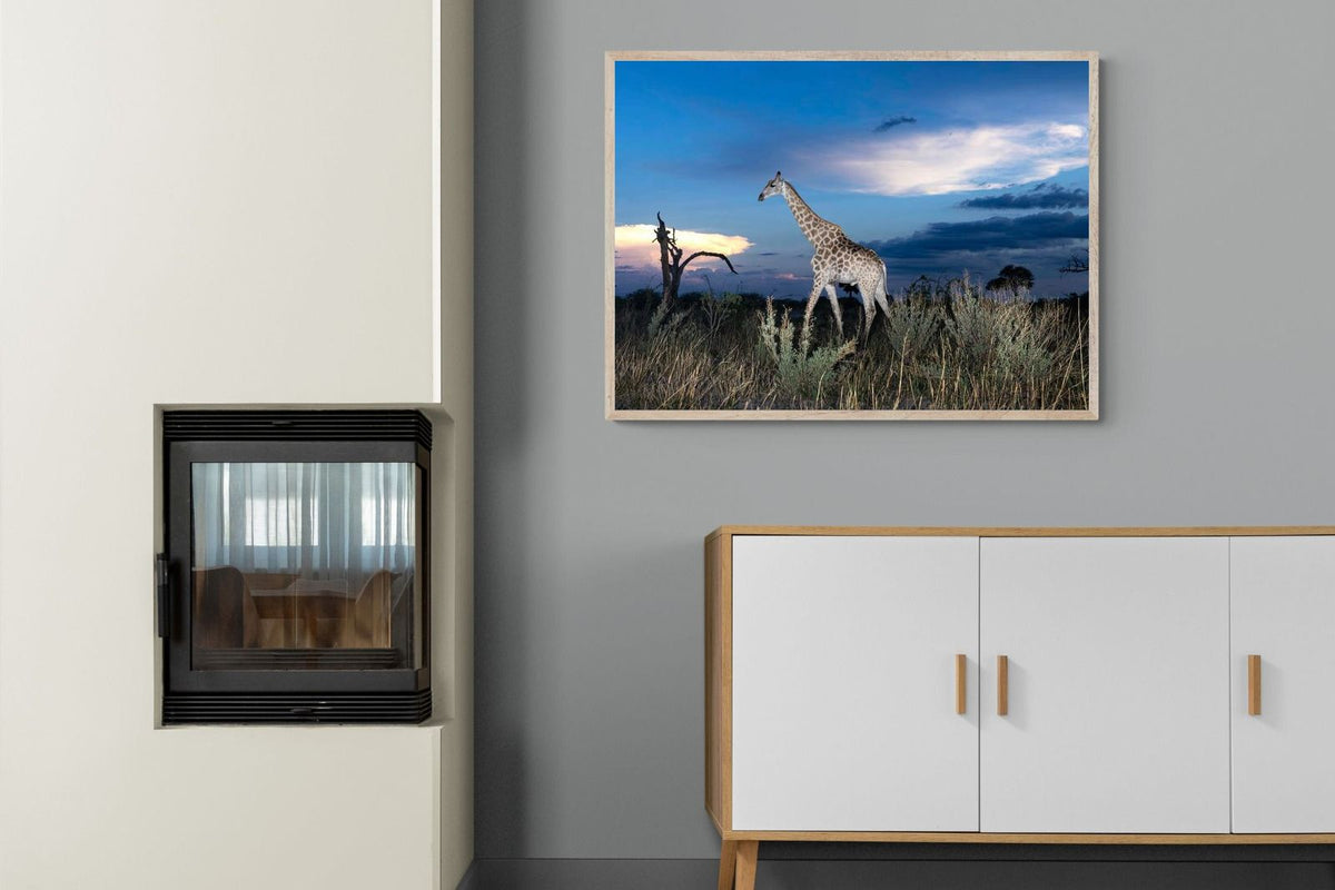 Pixalot ® Blue Hour Giraffe