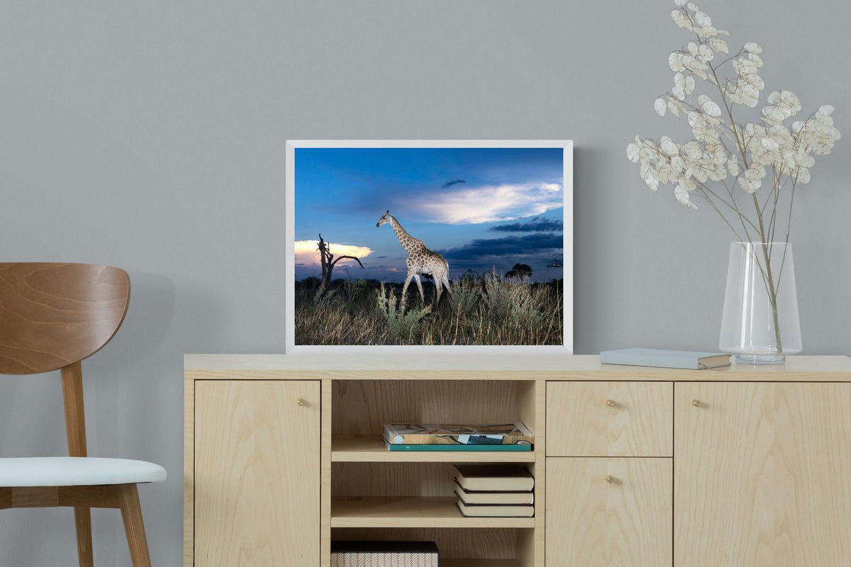Pixalot ® Blue Hour Giraffe