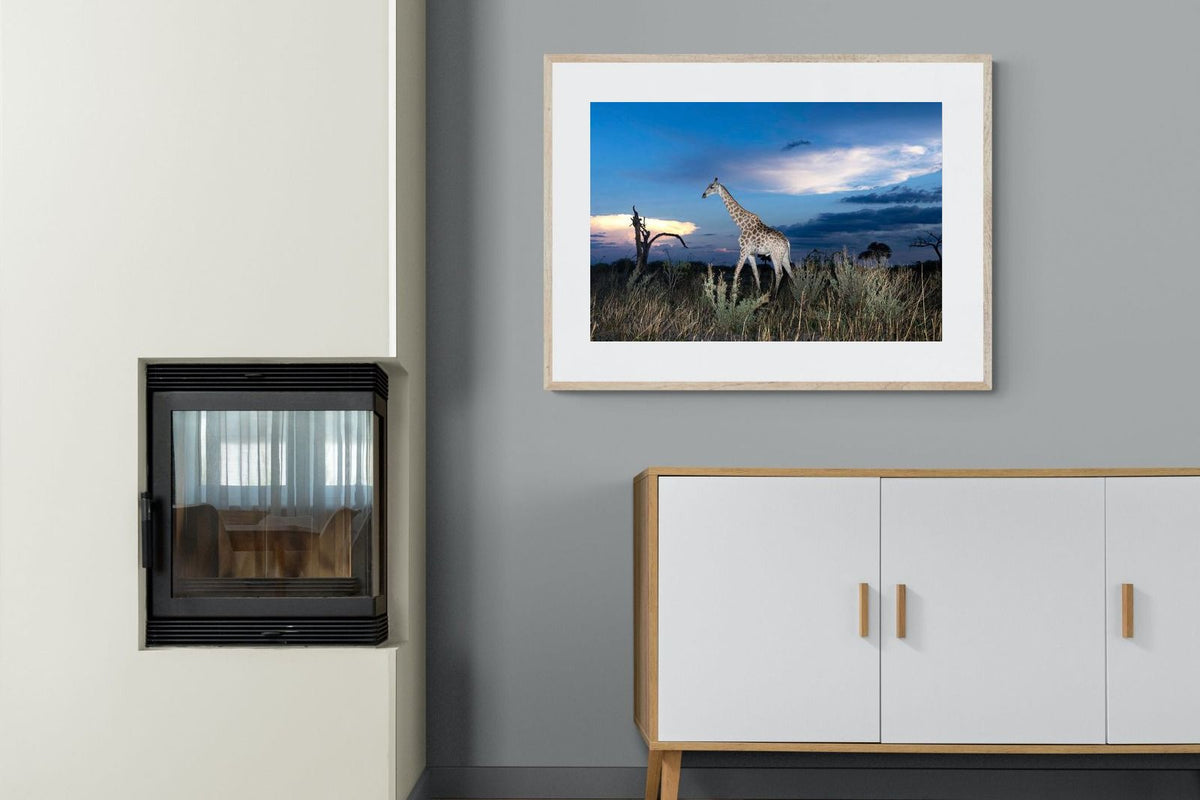 Pixalot ® Blue Hour Giraffe