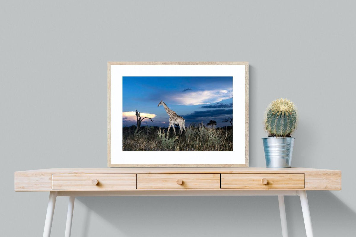Pixalot ® Blue Hour Giraffe