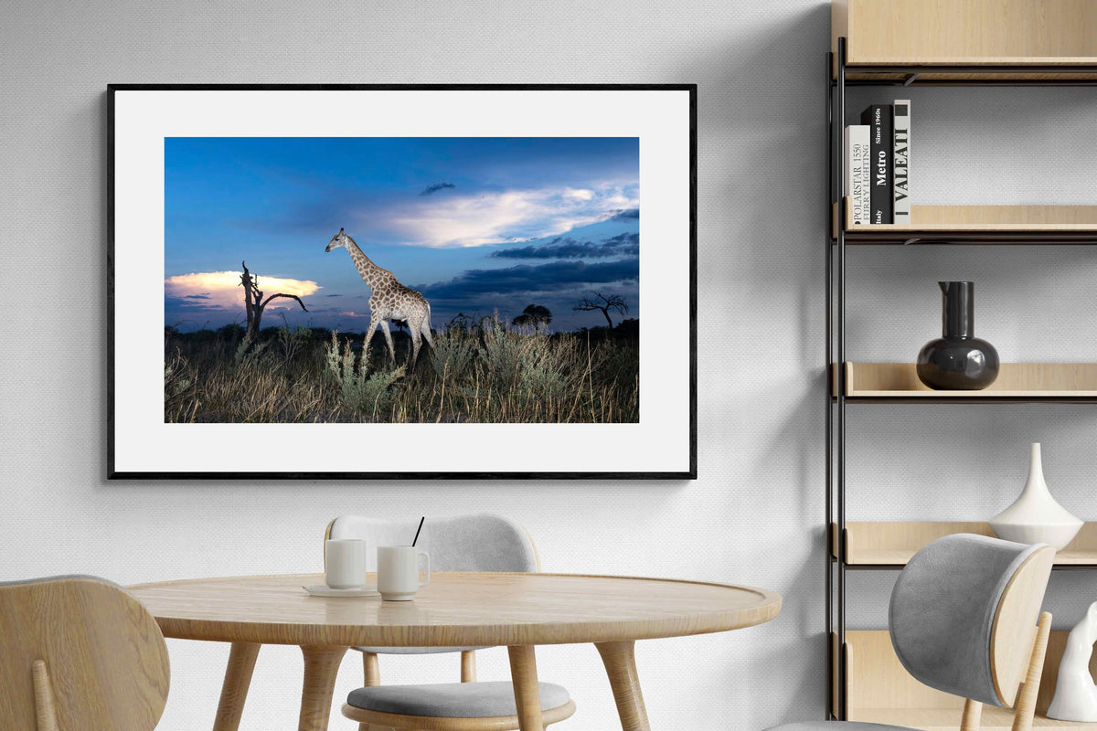 Pixalot ® Blue Hour Giraffe
