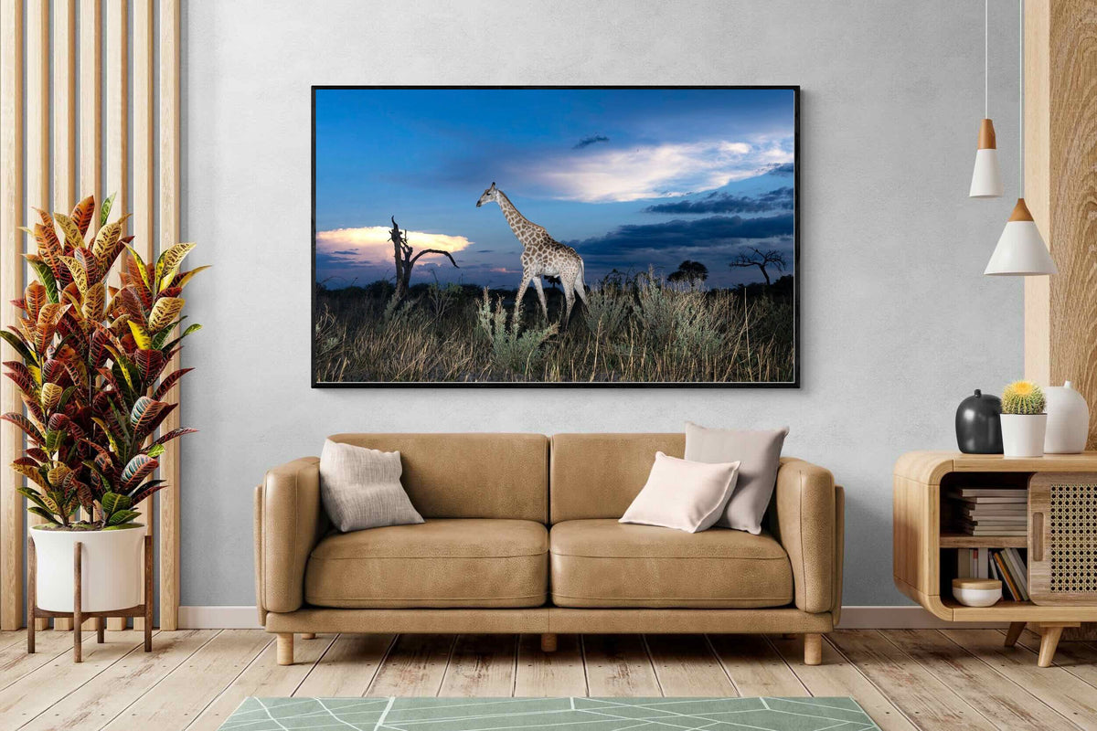 Pixalot ® Blue Hour Giraffe