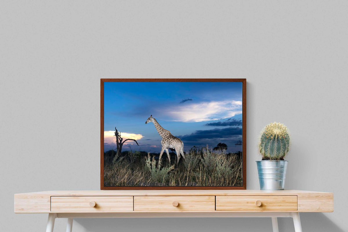 Pixalot ® Blue Hour Giraffe