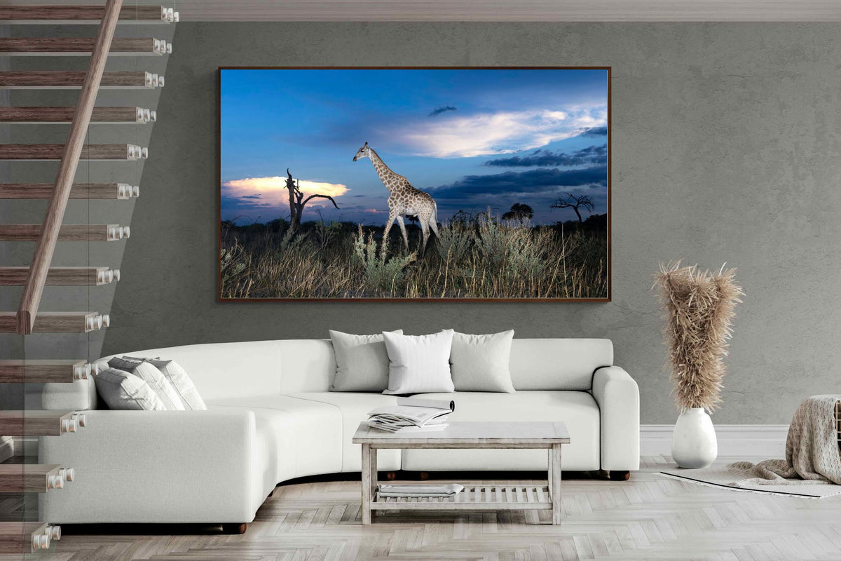 Pixalot ® Blue Hour Giraffe