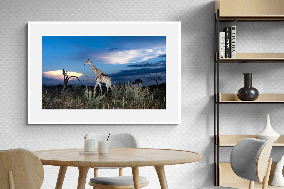 Pixalot ® Blue Hour Giraffe