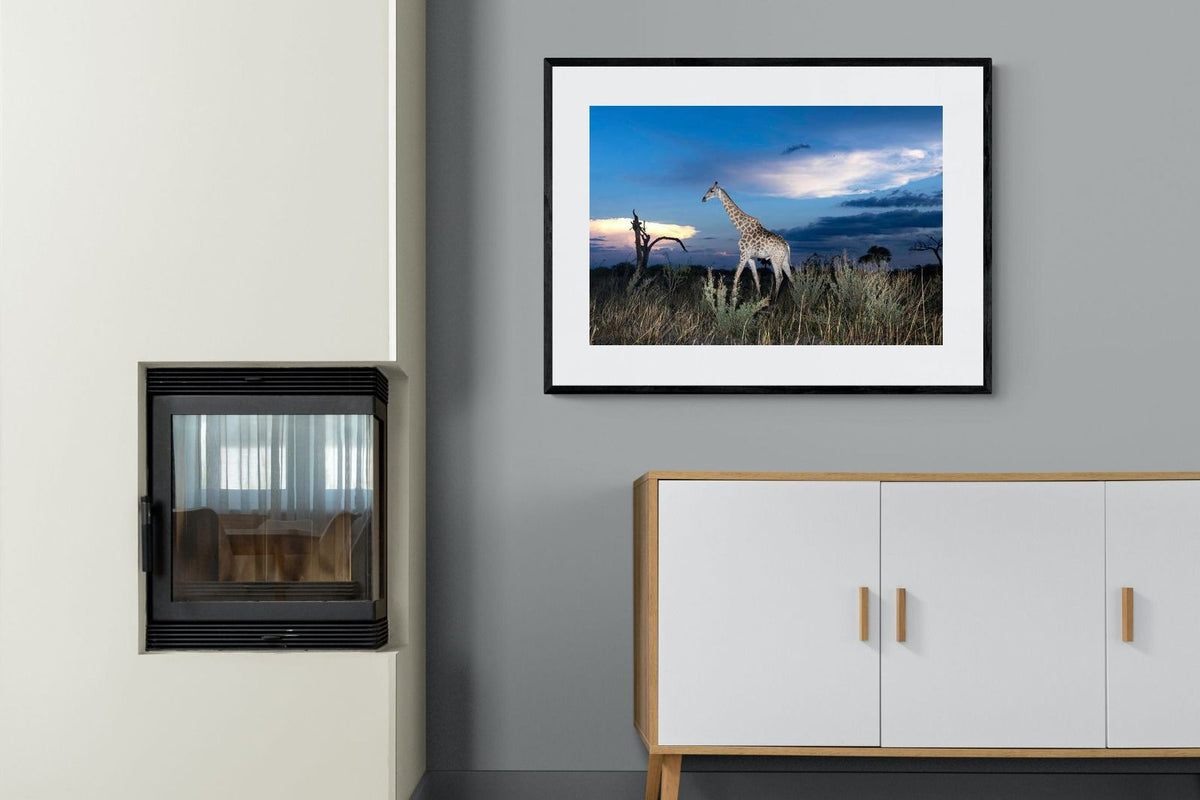 Pixalot ® Blue Hour Giraffe