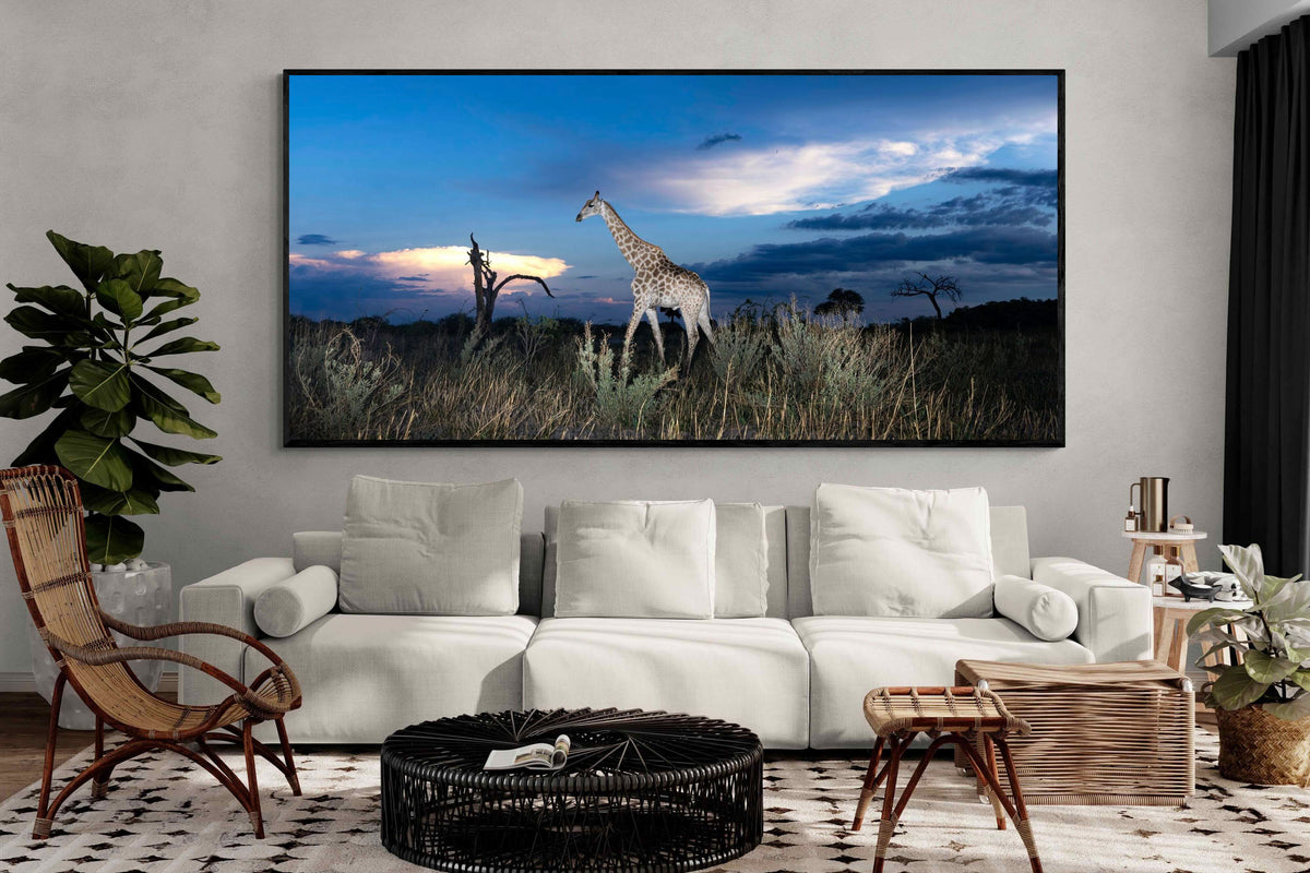 Pixalot ® Blue Hour Giraffe