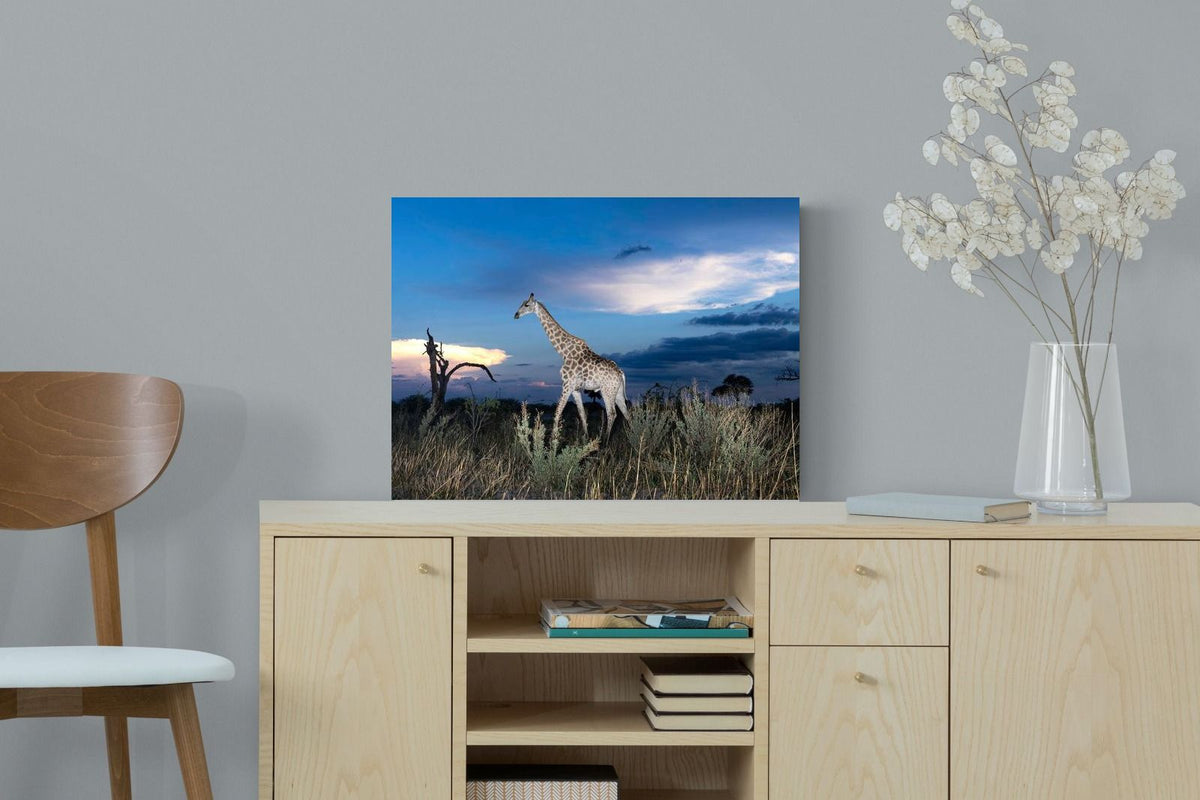 Pixalot ® Blue Hour Giraffe
