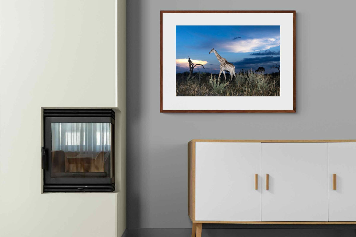 Pixalot ® Blue Hour Giraffe