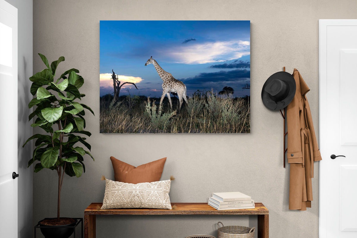 Pixalot ® Blue Hour Giraffe