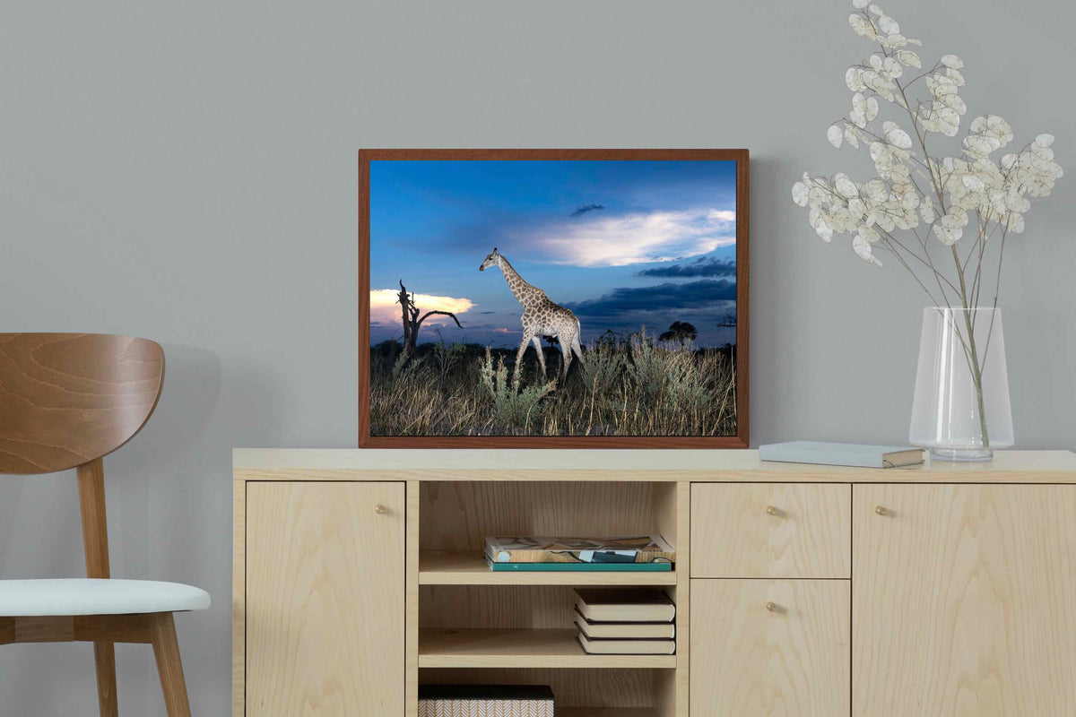 Pixalot ® Blue Hour Giraffe