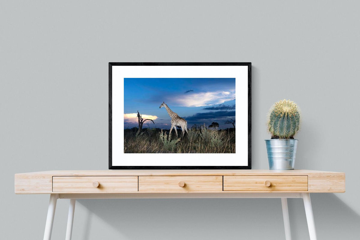 Pixalot ® Blue Hour Giraffe