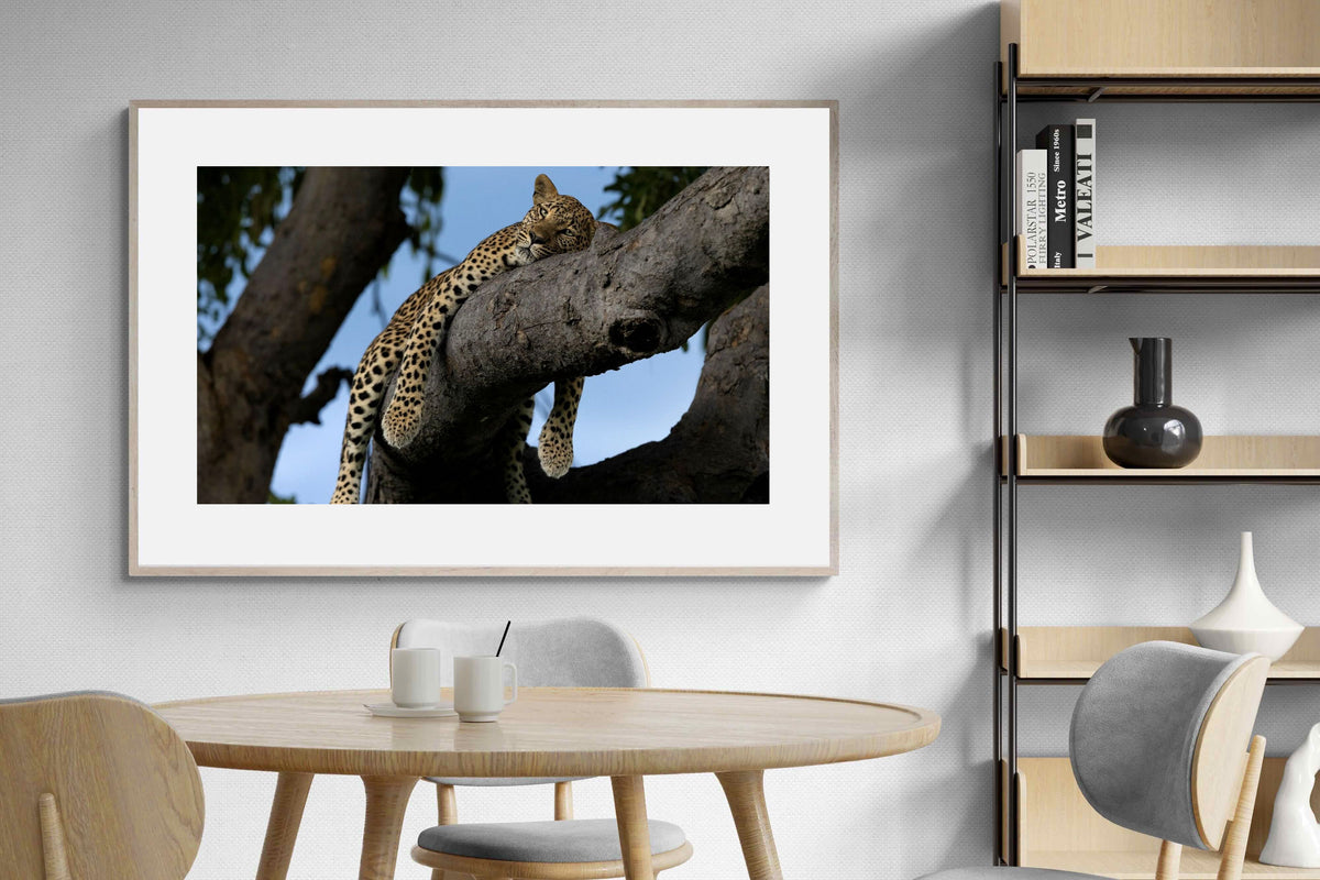 Pixalot ® Branch Lounge