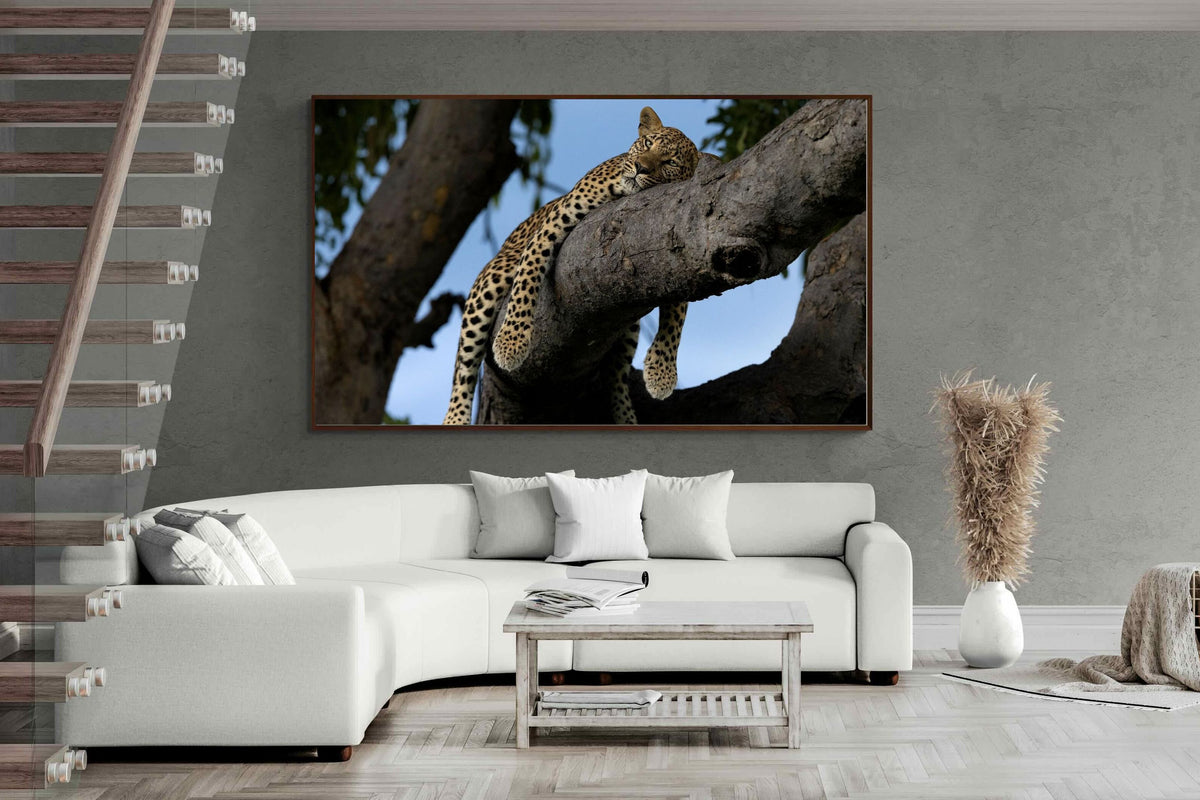 Pixalot ® Branch Lounge