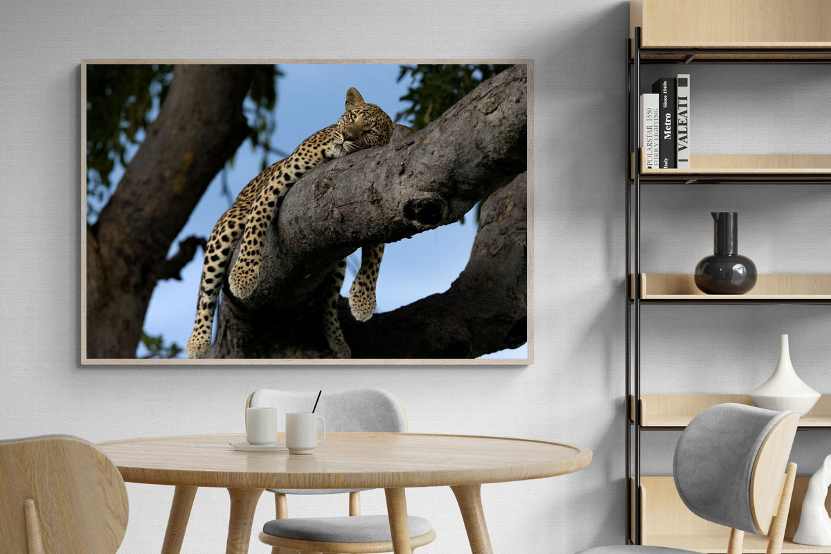 Pixalot ® Branch Lounge