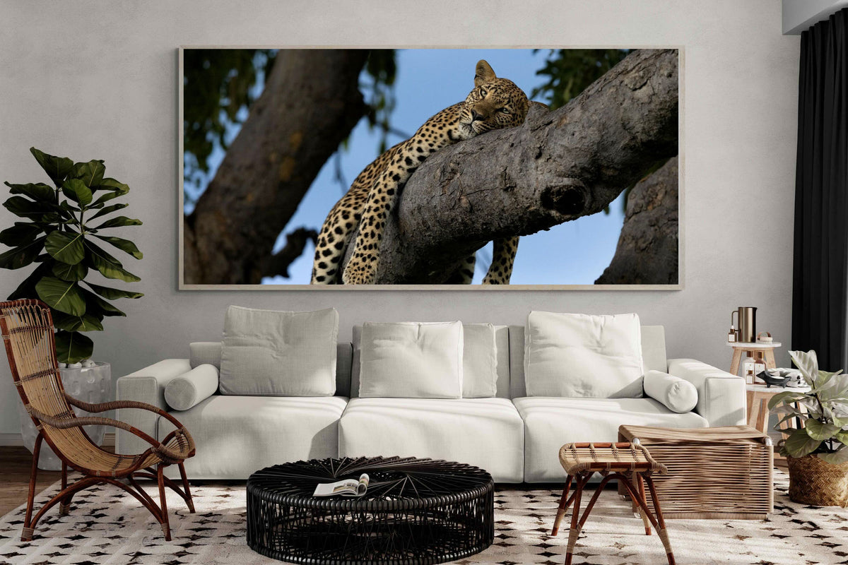 Pixalot ® Branch Lounge