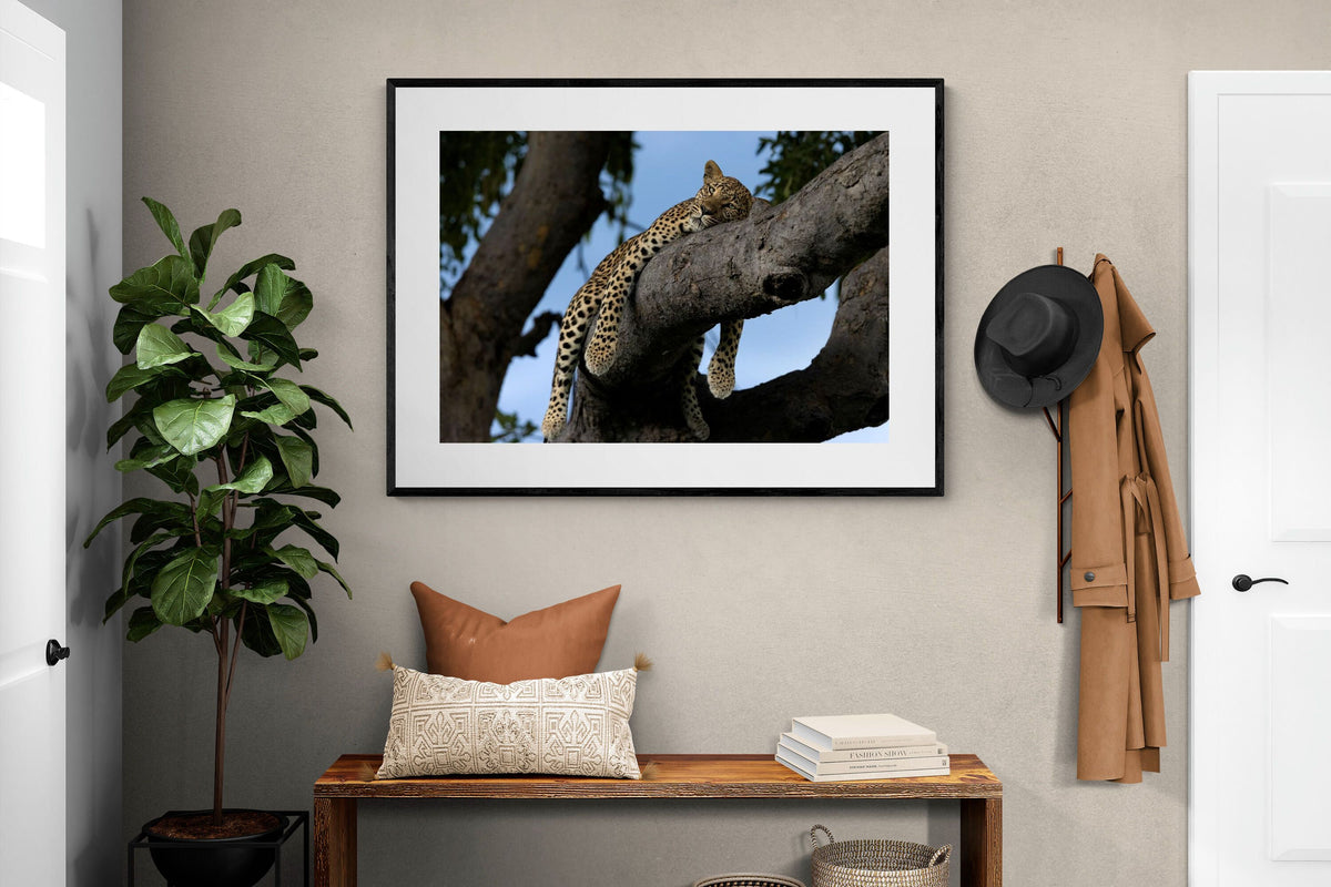 Pixalot ® Branch Lounge