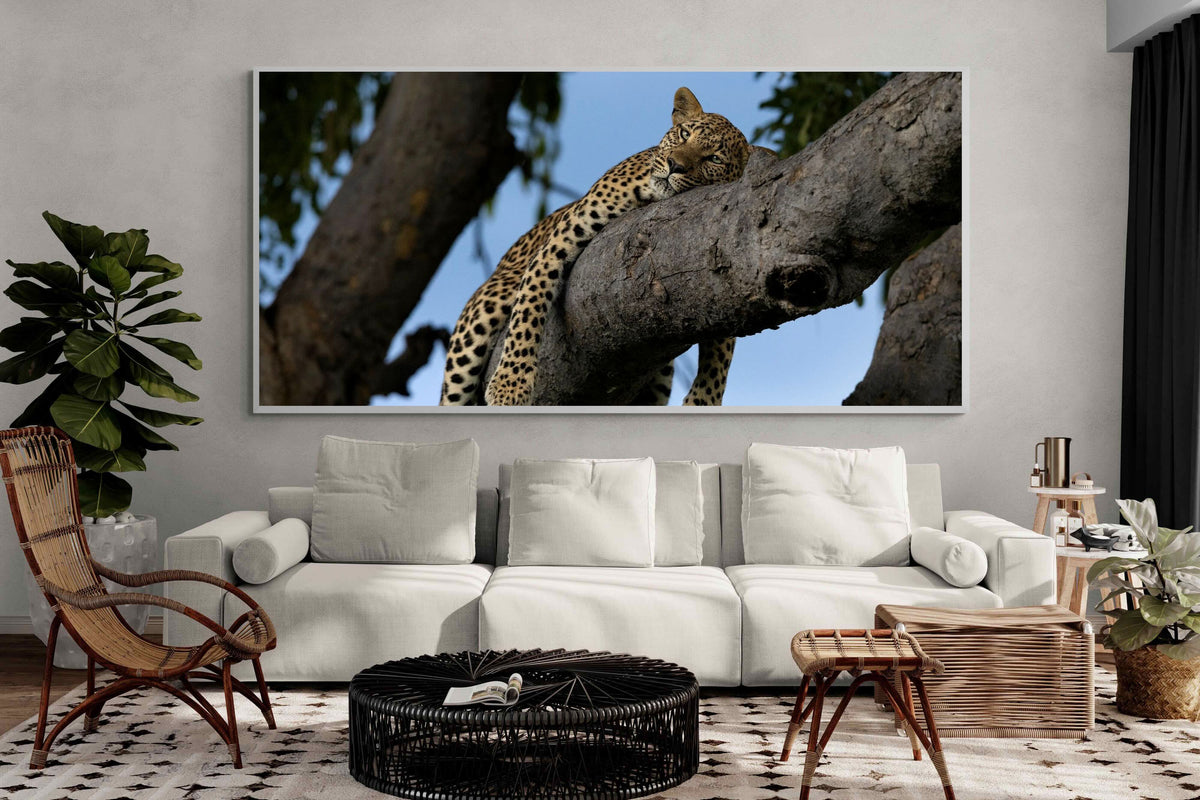 Pixalot ® Branch Lounge