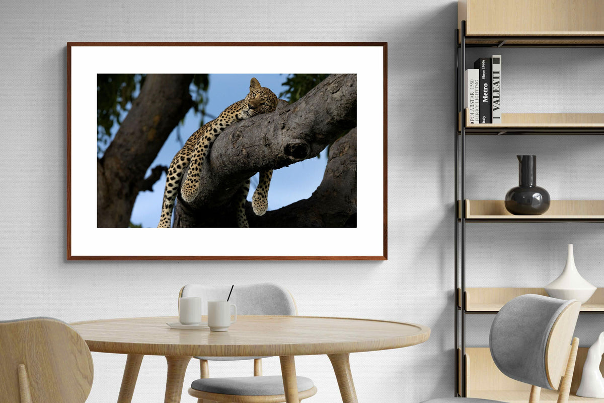 Pixalot ® Branch Lounge