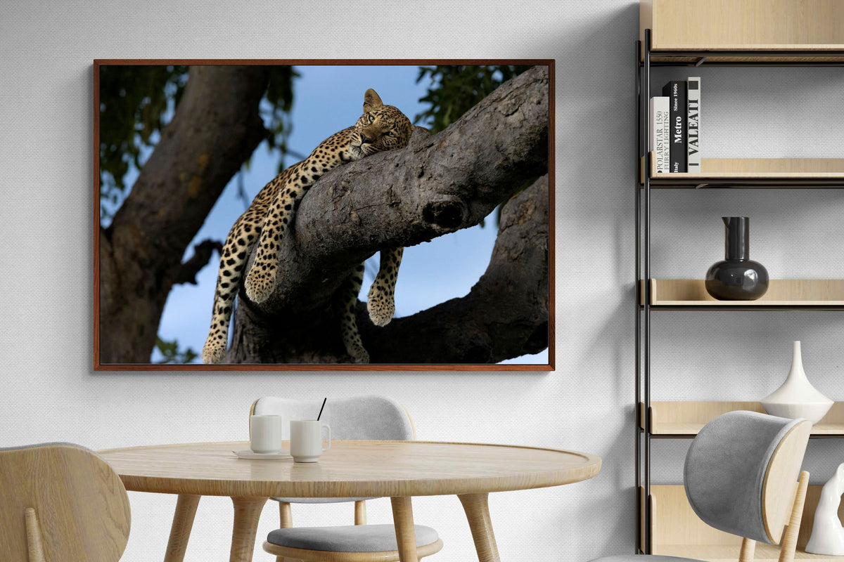 Pixalot ® Branch Lounge