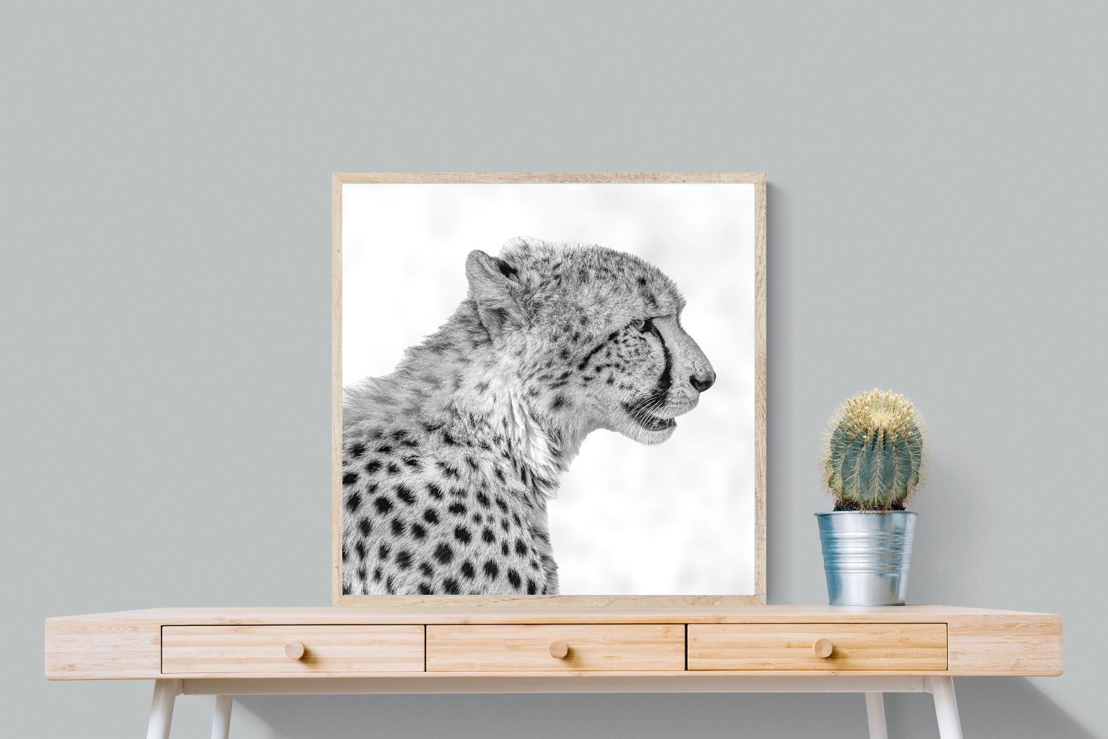 Pixalot ® Cheetah Profile