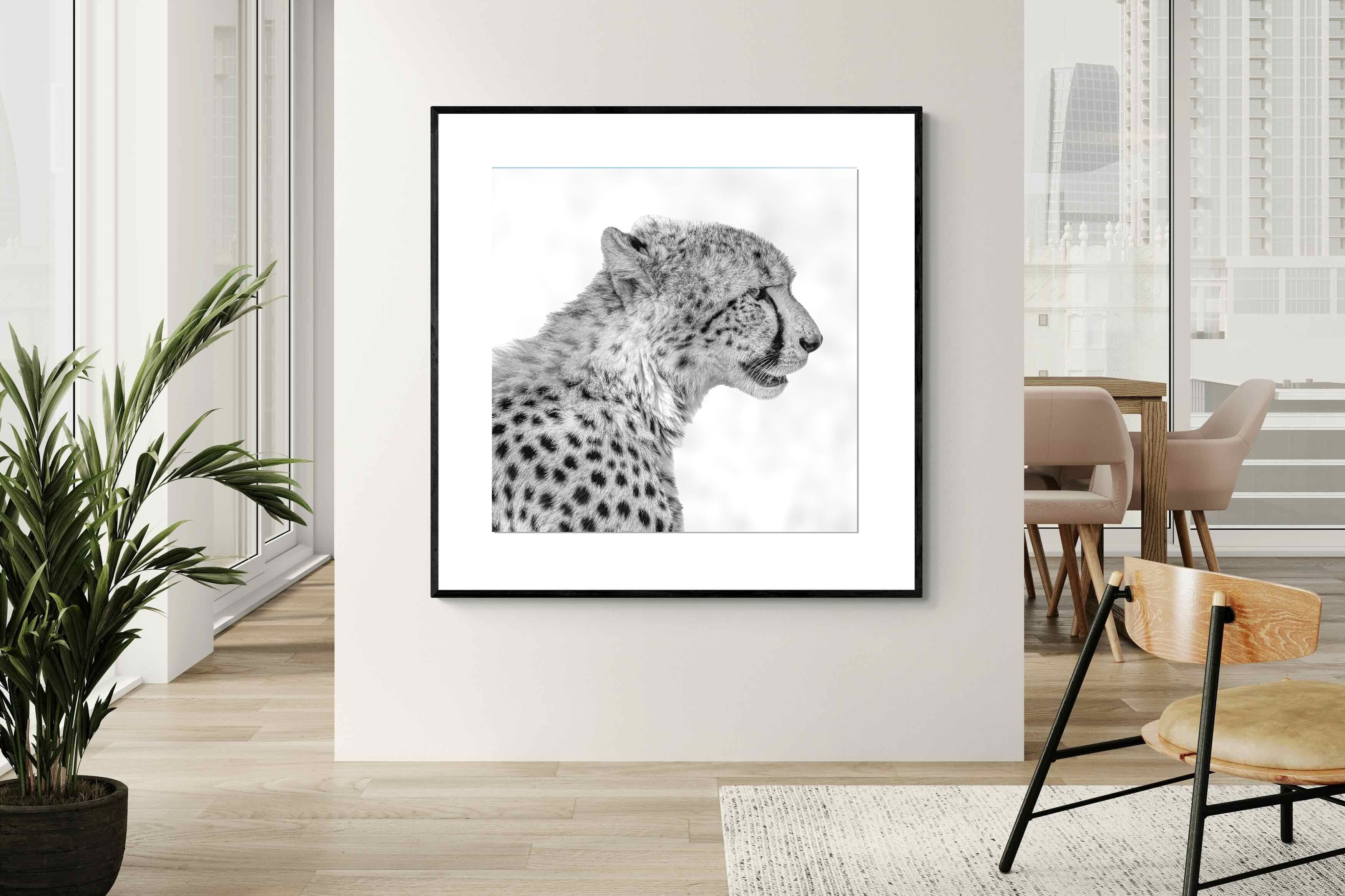 Pixalot ® Cheetah Profile