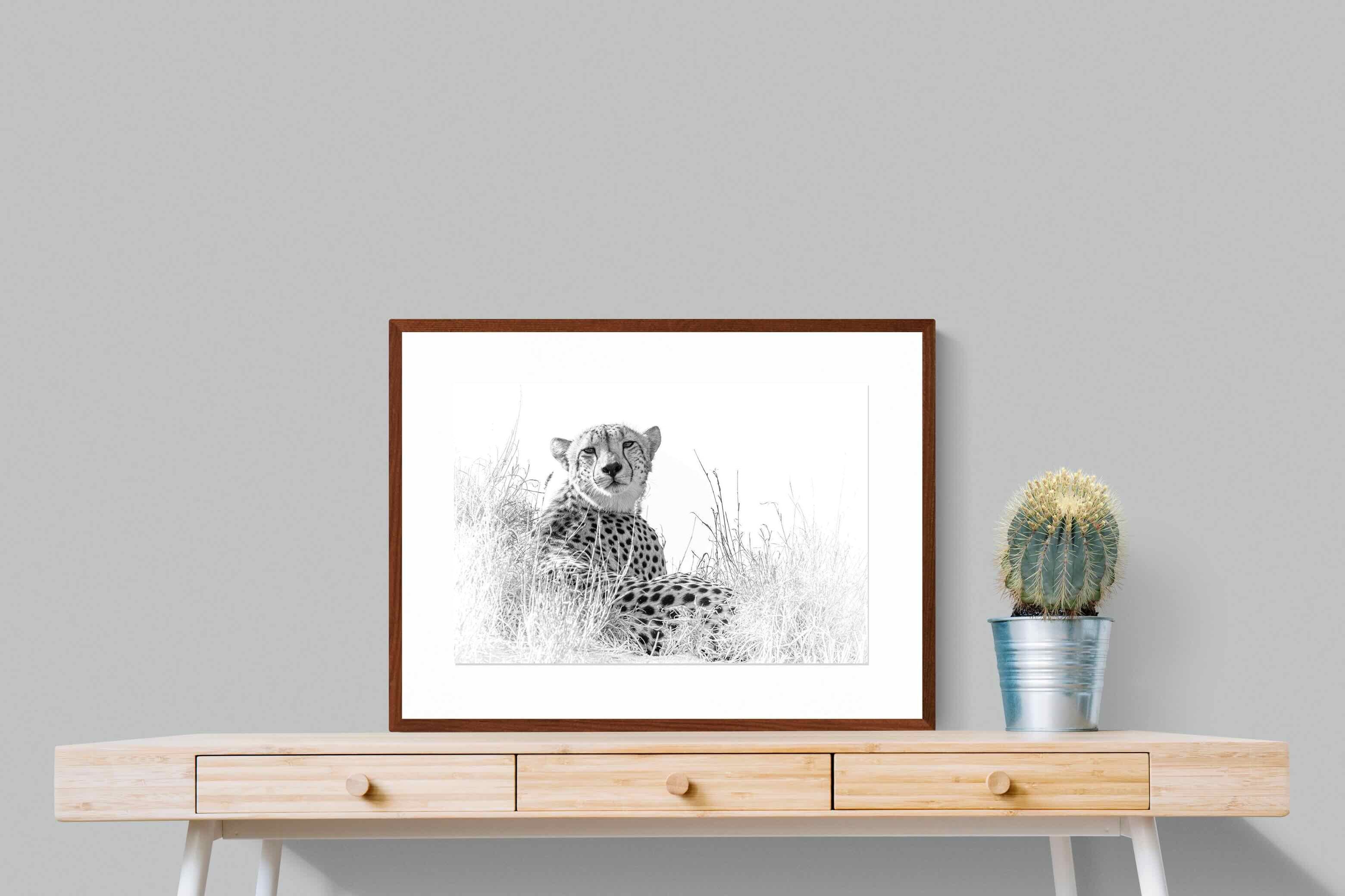 Pixalot ® Cheetah Whiteout