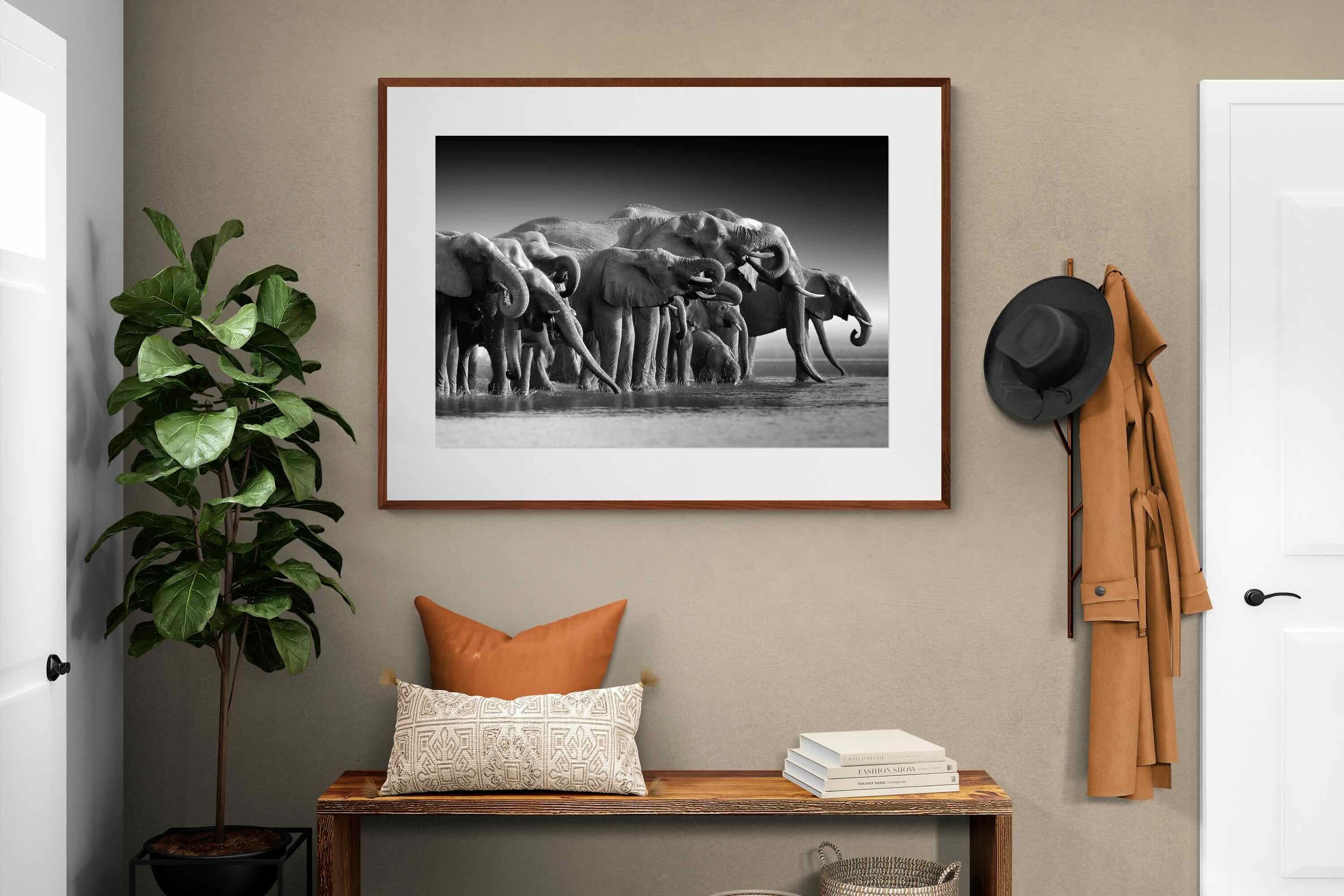 Pixalot ® Chobe Elephants