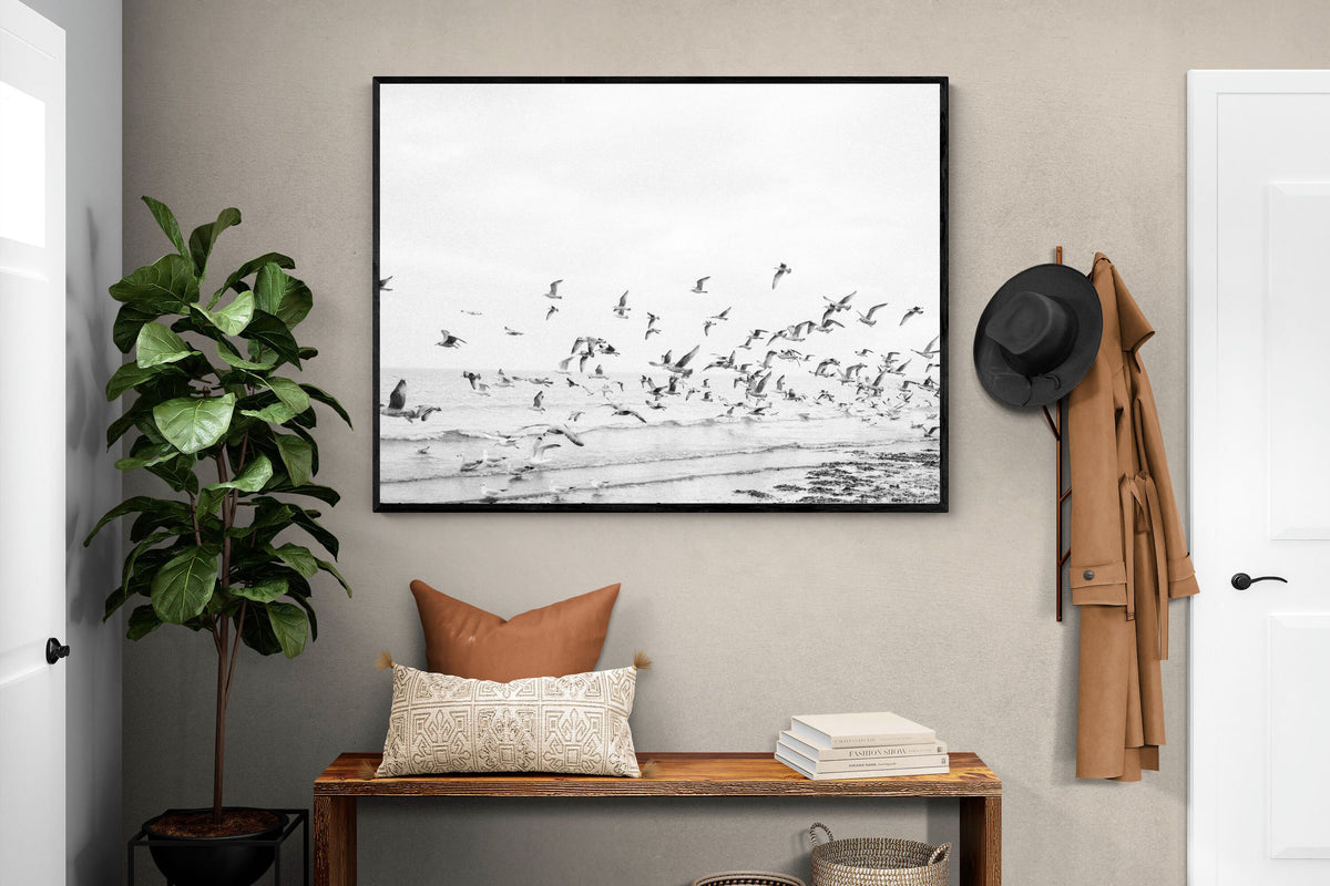 Pixalot ® Coastal Flight