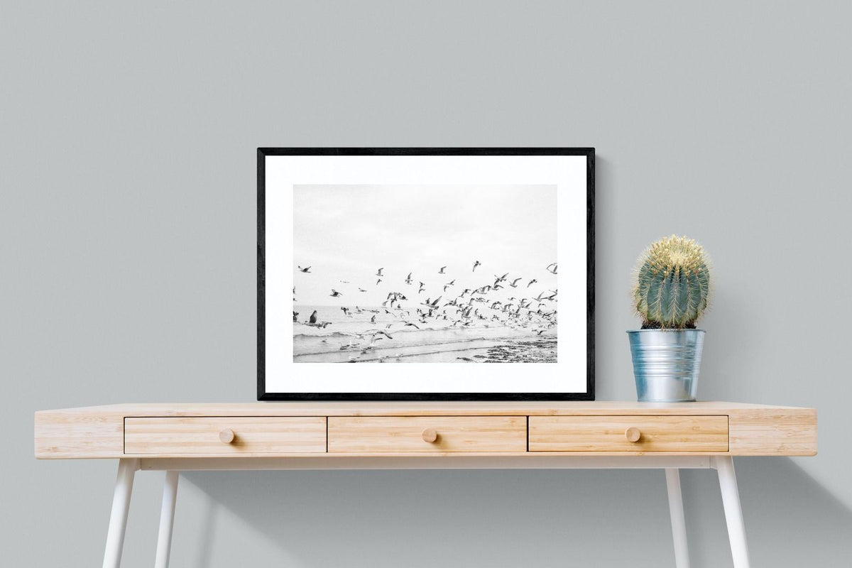 Pixalot ® Coastal Flight