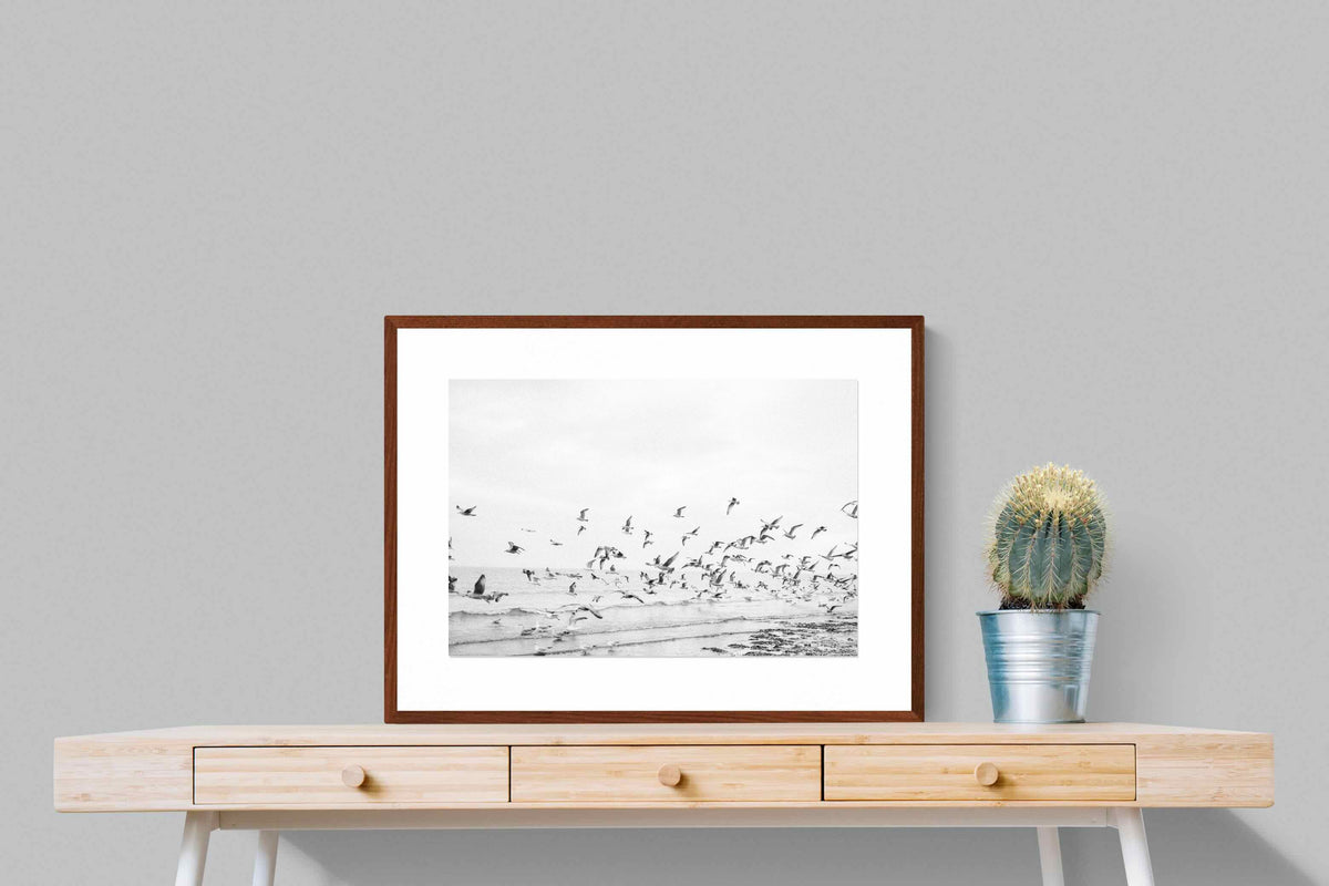 Pixalot ® Coastal Flight