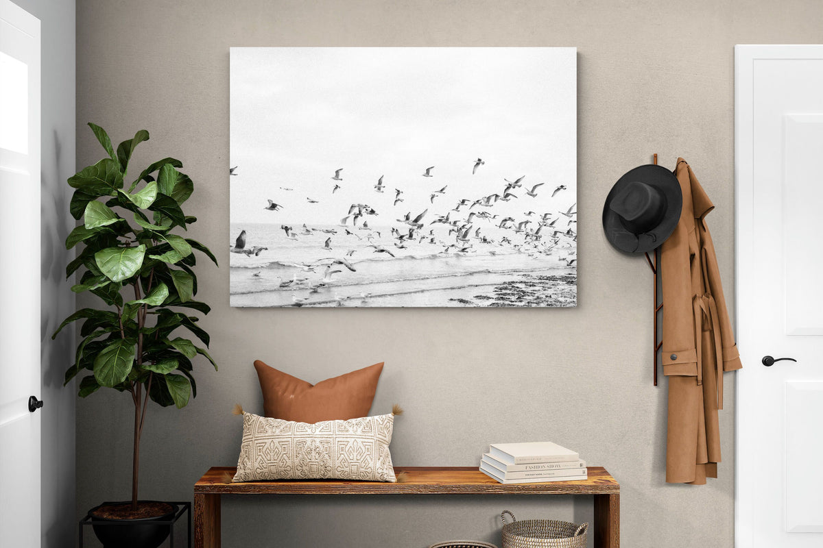 Pixalot ® Coastal Flight
