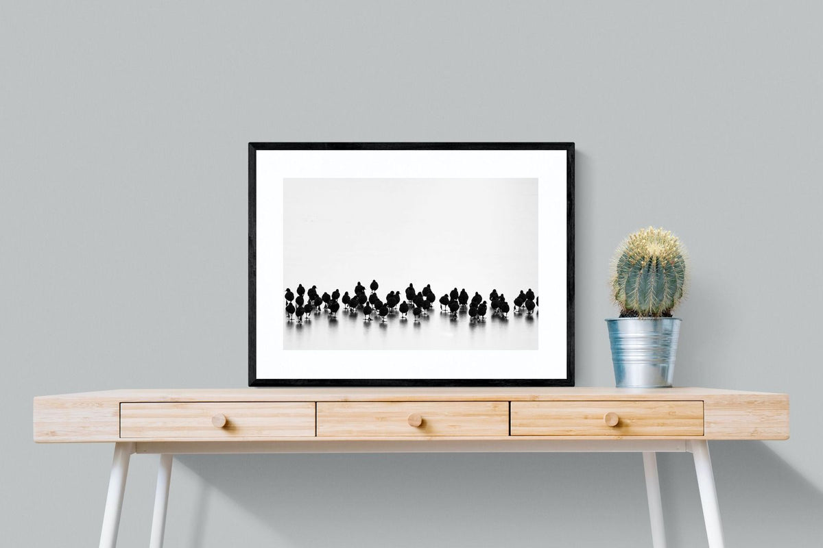 Pixalot ® Coot Gathering