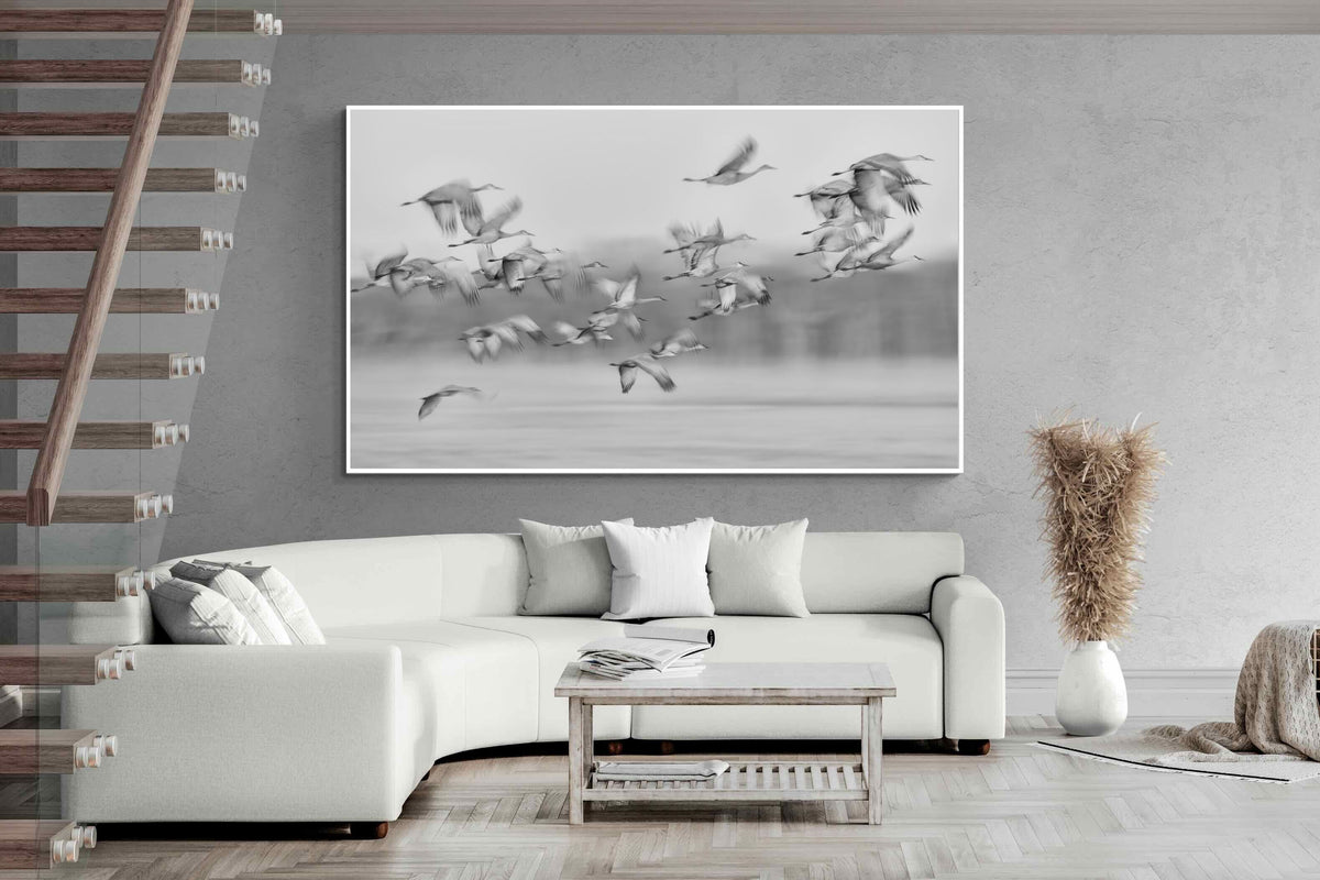 Pixalot ® Crane Migration
