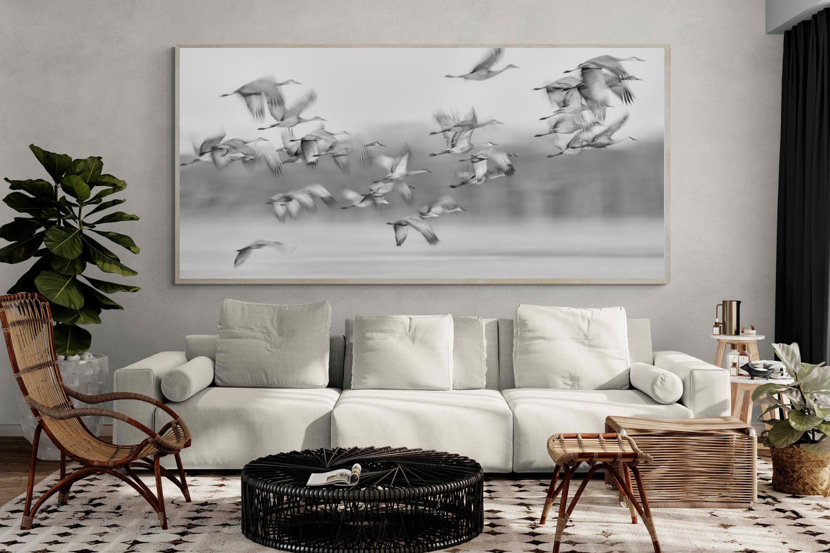 Pixalot ® Crane Migration
