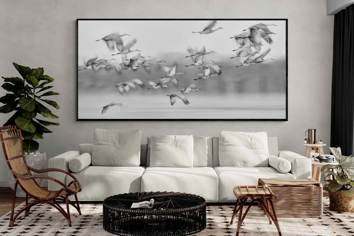 Pixalot ® Crane Migration