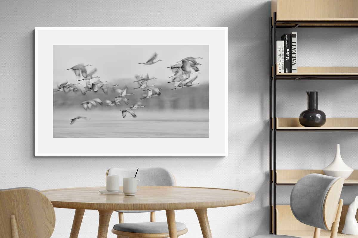 Pixalot ® Crane Migration