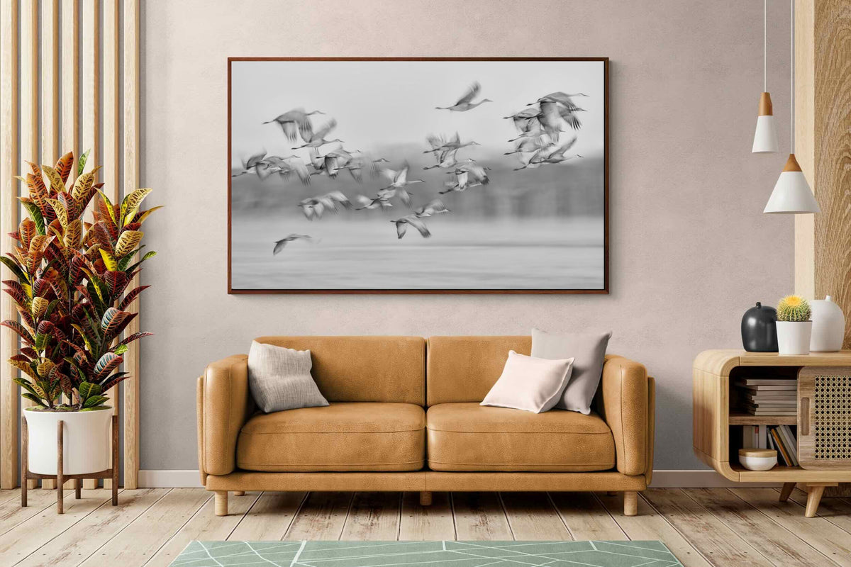 Pixalot ® Crane Migration